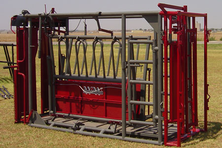 EL CHUTE BEEFMASTER LEFT (WW) (PALPATION) EL CHUTE BEEFMASTER LEFT (WW) (PALPATION)