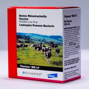 TITANIUM IBR LEPTO (50DS) TITANIUM IBR LEPTO (50DS)