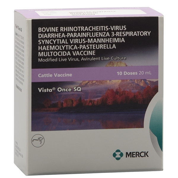 VISTA ONCE VISTA ONCE