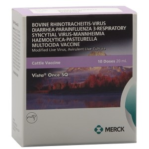 VISTA ONCE VISTA ONCE