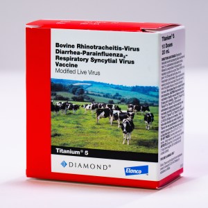 TITANIUM 5 TITANIUM 5