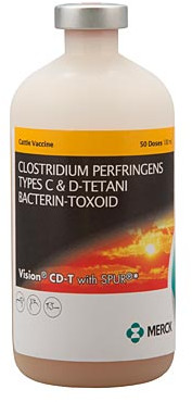 VISION CD-T (50 DS) VISION CD-T (50 DS)