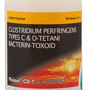 VISION CD-T (50 DS) VISION CD-T (50 DS)