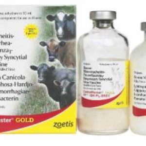CATTLEMASTER GOLD FP 5+L5 CATTLEMASTER GOLD FP 5+L5