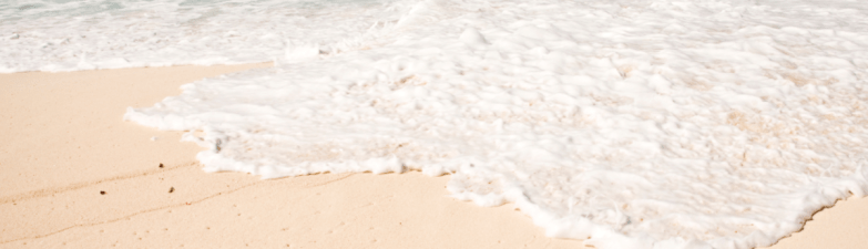 The Joy of Exploring the Bahamas with a Day Yacht Charter The Joy of Exploring the Bahamas with a Day Yacht Charter