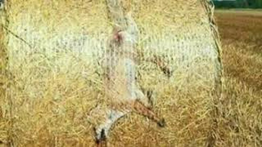 Revelations of an ancient spirit Revelations of an ancient spirit