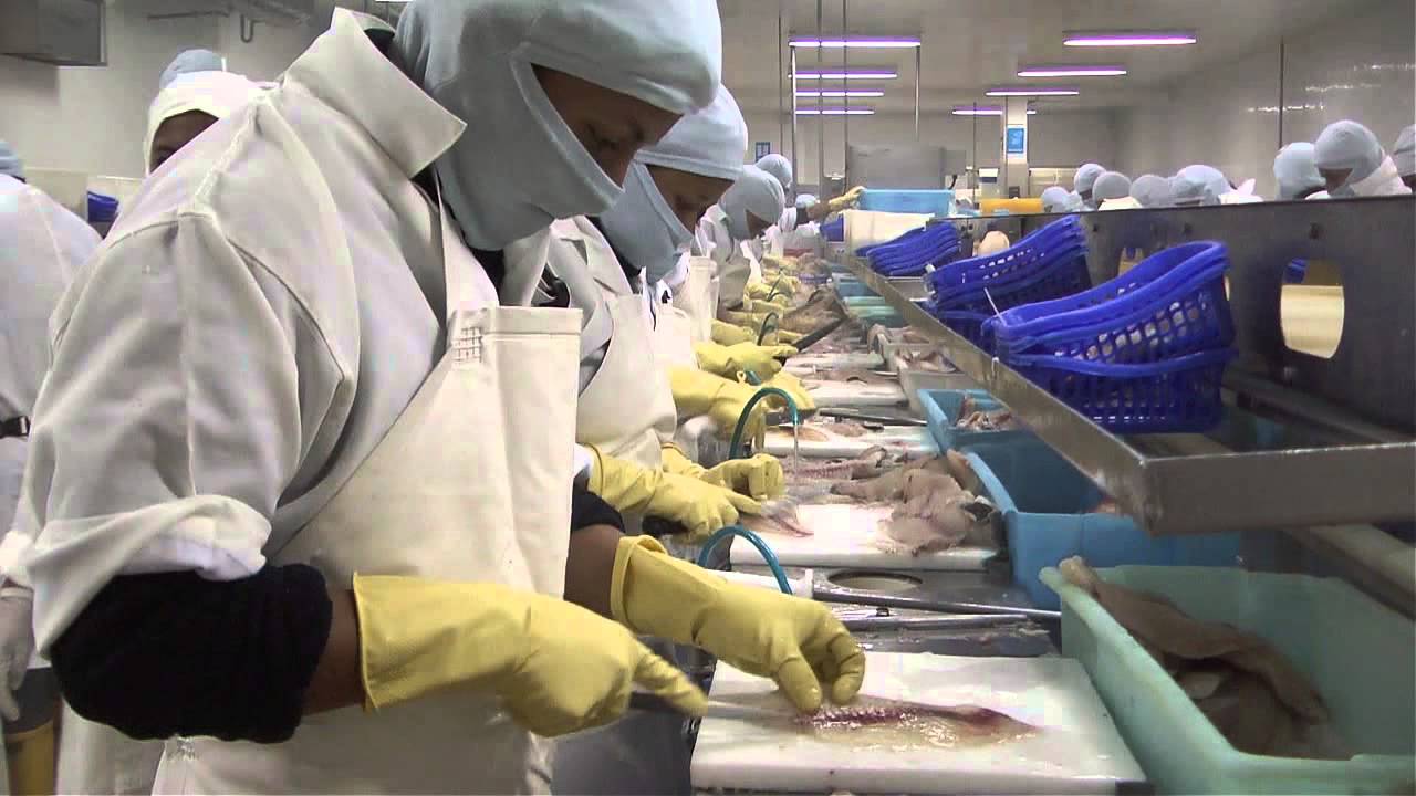 La generación de empleo en la Industria Pesquera (Dr. César Lerena) La generación de empleo en la Industria Pesquera (Dr. César Lerena)