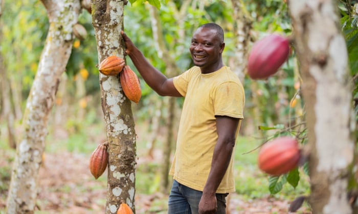 Uncovering cocoa farming’s biggest challenges – and what’s being done to tackle them Uncovering cocoa farming’s biggest challenges – and what’s being done to tackle them