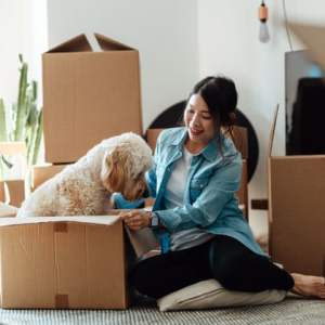 ‘Use a pheromone spray on your cat’s bedding’: five top tips that will help your pet adjust when moving home ‘Use a pheromone spray on your cat’s bedding’: five top tips that will help your pet adjust when moving home