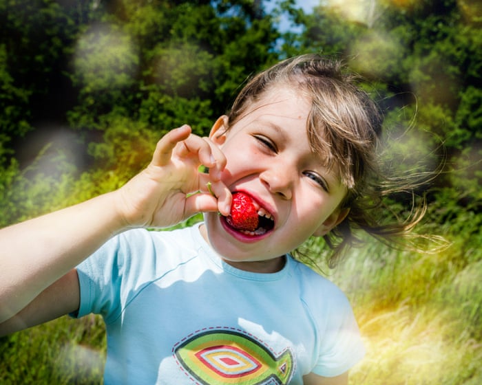 ‘I’ve been known to eat a punnet in one sitting’: eight superfans on the best ways to enjoy British strawberries ‘I’ve been known to eat a punnet in one sitting’: eight superfans on the best ways to enjoy British strawberries