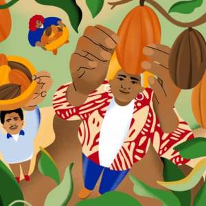 From pruning to reforesting – how good agricultural practices can lift cocoa communities From pruning to reforesting – how good agricultural practices can lift cocoa communities