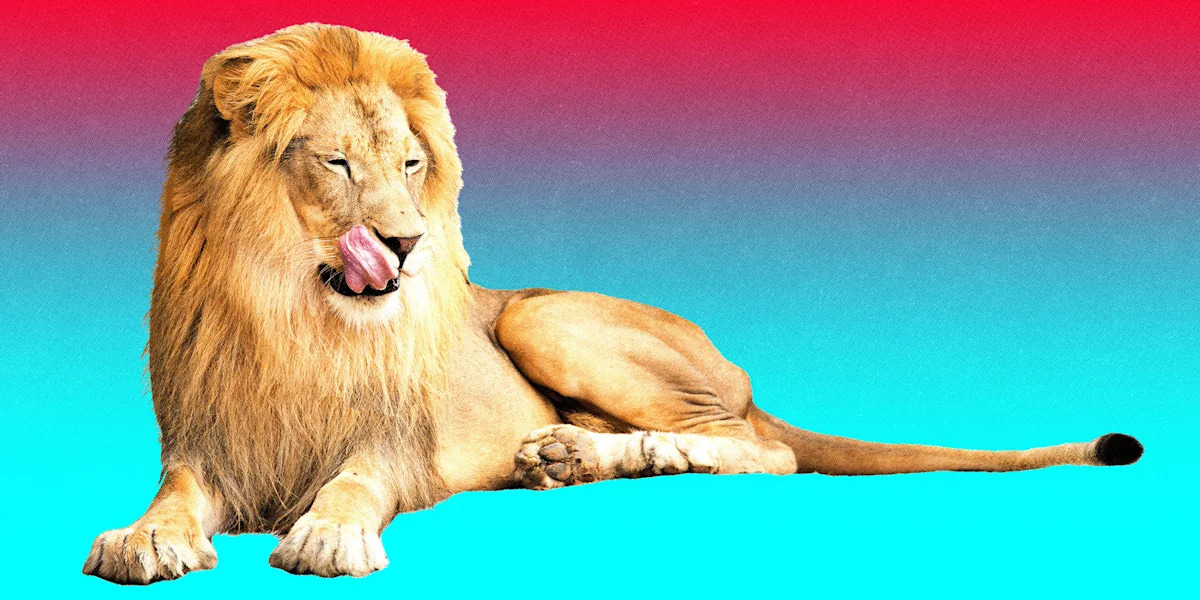 TikTok’s lion meme is helping people open up about what scares them TikTok’s lion meme is helping people open up about what scares them