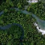 Brazil stumps up billions of dollars for its ambitious rainforest fund at UN climate summit Brazil stumps up billions of dollars for its ambitious rainforest fund at UN climate summit