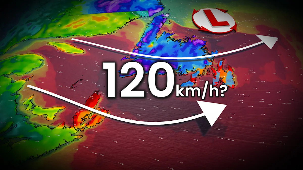 Winter storm and wind warnings as powerful system hits Newfoundland Winter storm and wind warnings as powerful system hits Newfoundland