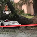 Tree smashes car in Altadena as Eaton Fire burn scar is hit with heavy downpour Tree smashes car in Altadena as Eaton Fire burn scar is hit with heavy downpour