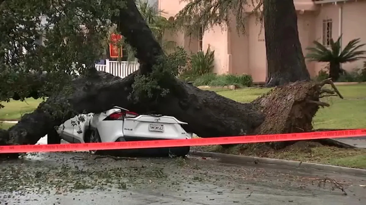 Tree smashes car in Altadena as Eaton Fire burn scar is hit with heavy downpour Tree smashes car in Altadena as Eaton Fire burn scar is hit with heavy downpour