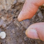 Study finds humans were making fire 400,000 years ago, far earlier than once thought Study finds humans were making fire 400,000 years ago, far earlier than once thought