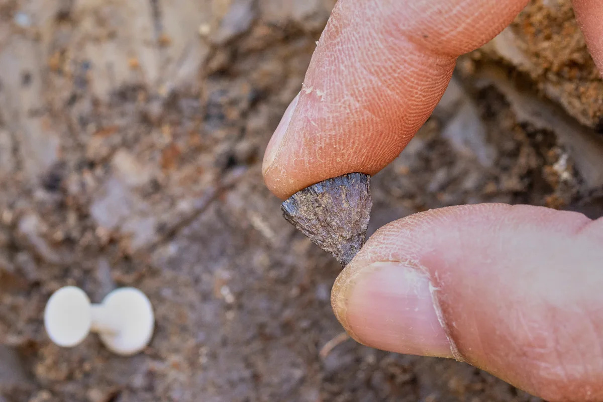 Study finds humans were making fire 400,000 years ago, far earlier than once thought Study finds humans were making fire 400,000 years ago, far earlier than once thought