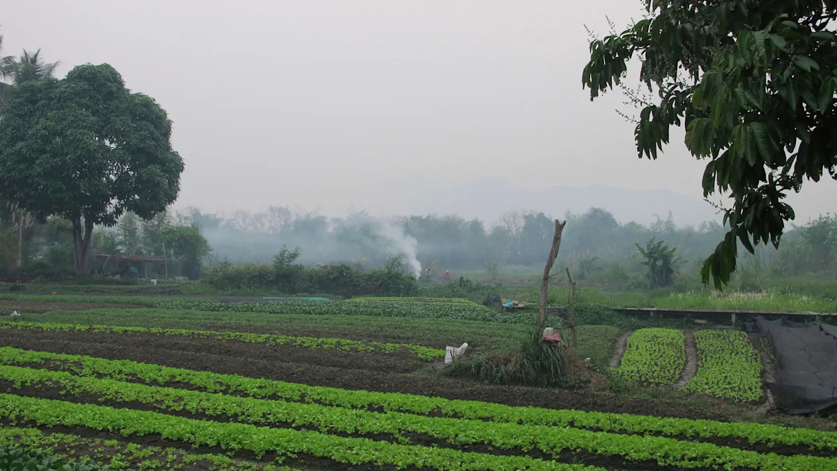 American and teenage son die after being stung by wasps in Laos American and teenage son die after being stung by wasps in Laos