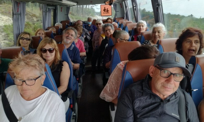 Convívio Sénior Municipal: Inscrições arrancam no final deste mês Convívio Sénior Municipal: Inscrições arrancam no final deste mês