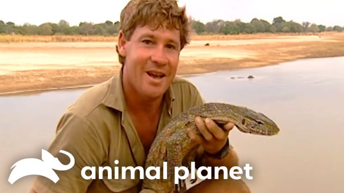 Steve Irwin’s Unbelievable Encounter with Nile Crocodiles | Crocodile Hunter | Animal Planet Steve Irwin’s Unbelievable Encounter with Nile Crocodiles | Crocodile Hunter | Animal Planet