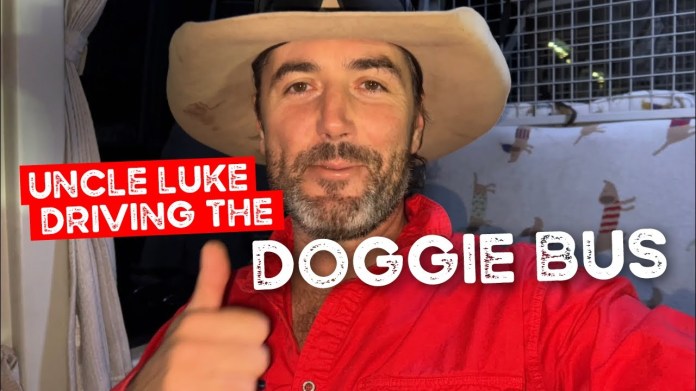 Uncle Luke Driving the Doggy Bus to Pick all the Day Care Doggies up this Morning Uncle Luke Driving the Doggy Bus to Pick all the Day Care Doggies up this Morning