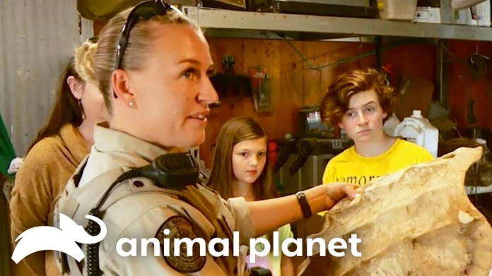 A Family Finds An Alligator Snapping Turtle Shell | Lone Star Law | Animal Planet A Family Finds An Alligator Snapping Turtle Shell | Lone Star Law | Animal Planet