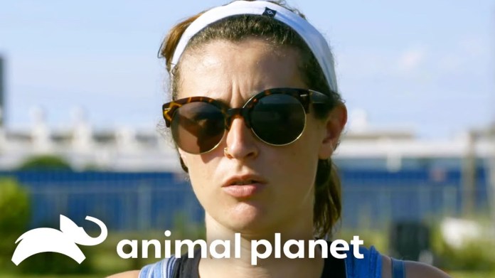 Lizzy’s Daring Rescue of an Abandoned Dog in Danger | Pit Bulls and Parolees | Animal Planet Lizzy’s Daring Rescue of an Abandoned Dog in Danger | Pit Bulls and Parolees | Animal Planet