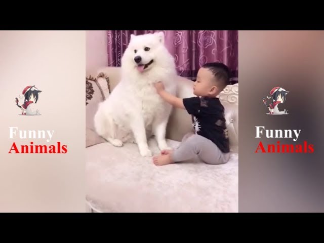Dogs and Babies Best Friends – Dog Loves Baby Dogs and Babies Best Friends – Dog Loves Baby