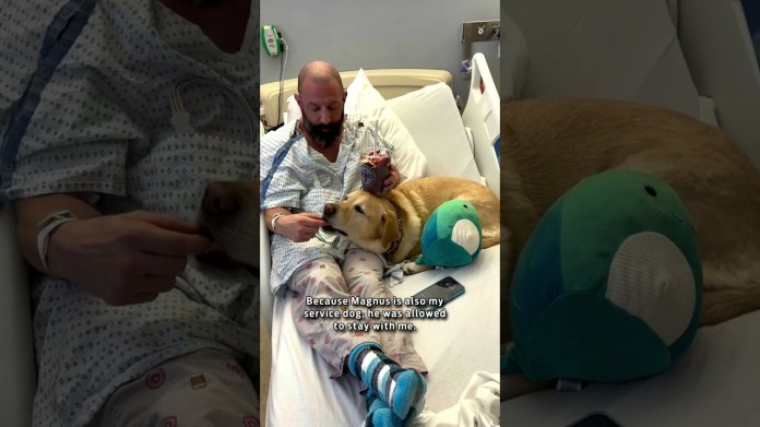 My dog stayed with me in the hospital! My dog stayed with me in the hospital!