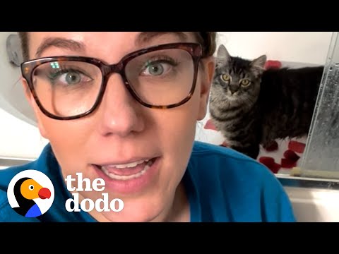 Cat Loves Jumping In And Stealing His Mom’s Baths | The Dodo Cat Crazy Cat Loves Jumping In And Stealing His Mom’s Baths | The Dodo Cat Crazy