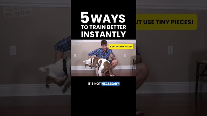 5 Ways to Train More Effectively 5 Ways to Train More Effectively