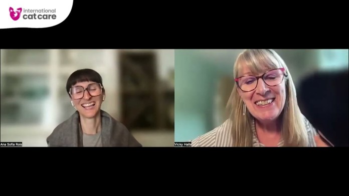 Conversa com a Vicky Halls do International Cat Care. Conversa com a Vicky Halls do International Cat Care.