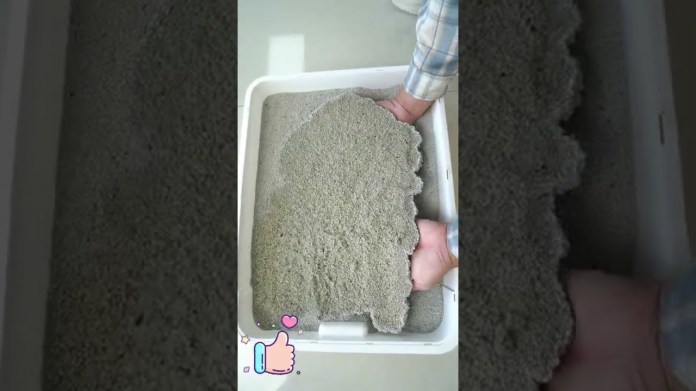 What kind of cat litter do you use when you pee so much What kind of cat litter do you use when you pee so much