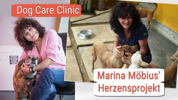 Dog Care Clinic – das Herzensprojekt von Marina Möbius aus Villingen-Schwenningen Dog Care Clinic – das Herzensprojekt von Marina Möbius aus Villingen-Schwenningen
