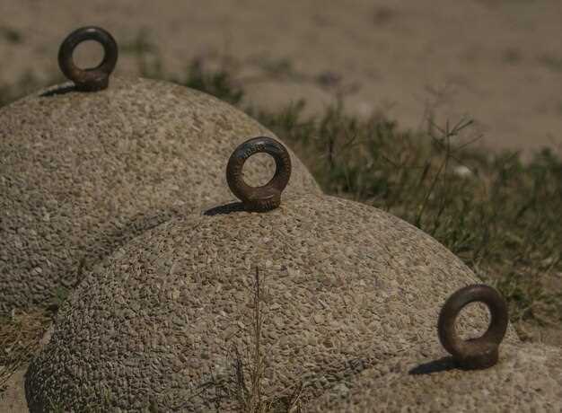 Essential Skid Plates for Rock Crawling Essential Skid Plates for Rock Crawling