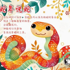 蛇年说蛇 蛇年说蛇