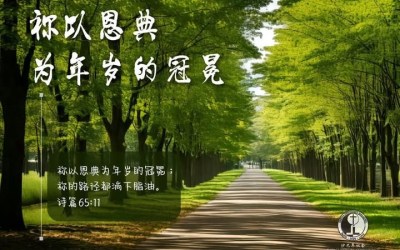 祢以恩典为年岁的冠冕 祢以恩典为年岁的冠冕