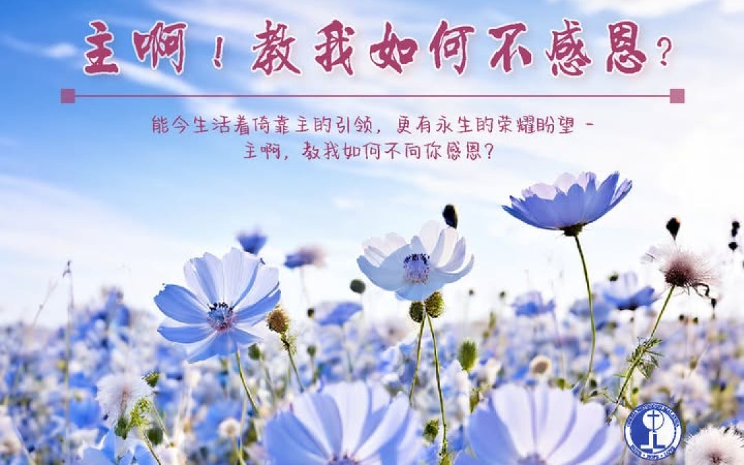 主啊!教我如何不感恩? 主啊!教我如何不感恩?