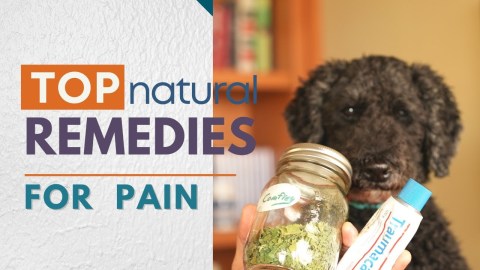 Best 5 Natural Remedies for Pain and Inflammation Best 5 Natural Remedies for Pain and Inflammation