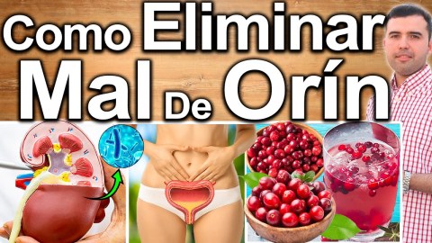 CÓMO ELIMINAR EL MAL DE ORIN – Remedios Caseros Para Quitar Infecciones Urinarias CÓMO ELIMINAR EL MAL DE ORIN – Remedios Caseros Para Quitar Infecciones Urinarias