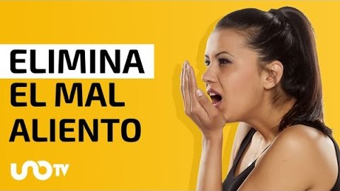 ¿Cómo quitar el mal aliento con remedios naturales? ¿Cómo quitar el mal aliento con remedios naturales?