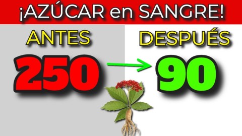 ¡REMEDIOS NATURALES! Bajan la Glucosa en Sangre Rápidamente ¡REMEDIOS NATURALES! Bajan la Glucosa en Sangre Rápidamente