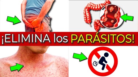 ¿Tus síntomas son por parásitos? ¿Cuál es el mejor tratamiento? ¿Tus síntomas son por parásitos? ¿Cuál es el mejor tratamiento?