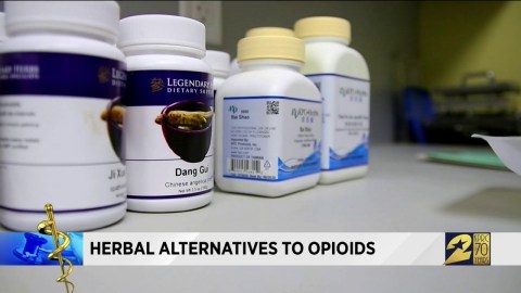 Herbal alternatives to opioids Herbal alternatives to opioids