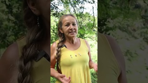 Te contamos 2 remedios caseros para la tos y dolor de garganta Te contamos 2 remedios caseros para la tos y dolor de garganta