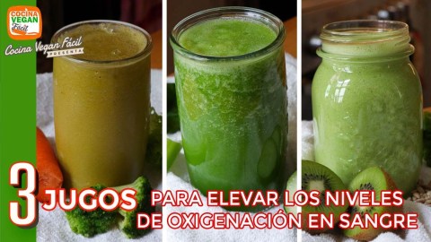 3 jugos para elevar niveles de oxigenación en sangre – Cocina vegan Fácil 3 jugos para elevar niveles de oxigenación en sangre – Cocina vegan Fácil