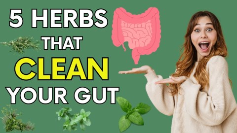 5 Herbs That Cleanse Your Gut and Boost Metabolism Naturally #4 Works Overnight! Gut health | IBS | 5 Herbs That Cleanse Your Gut and Boost Metabolism Naturally #4 Works Overnight! Gut health | IBS |