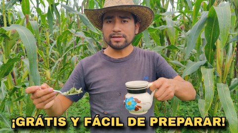 REMEDIOS NATURALES PARA LA DIABETES, Baja el AZÚCAR Y Aumenta LA INSULINA. REMEDIOS NATURALES PARA LA DIABETES, Baja el AZÚCAR Y Aumenta LA INSULINA.