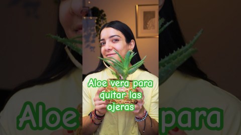 Probamos este remedio con aloe vera para las ojeras #tips #trucos #ojeras #aloevera #beauty Probamos este remedio con aloe vera para las ojeras #tips #trucos #ojeras #aloevera #beauty